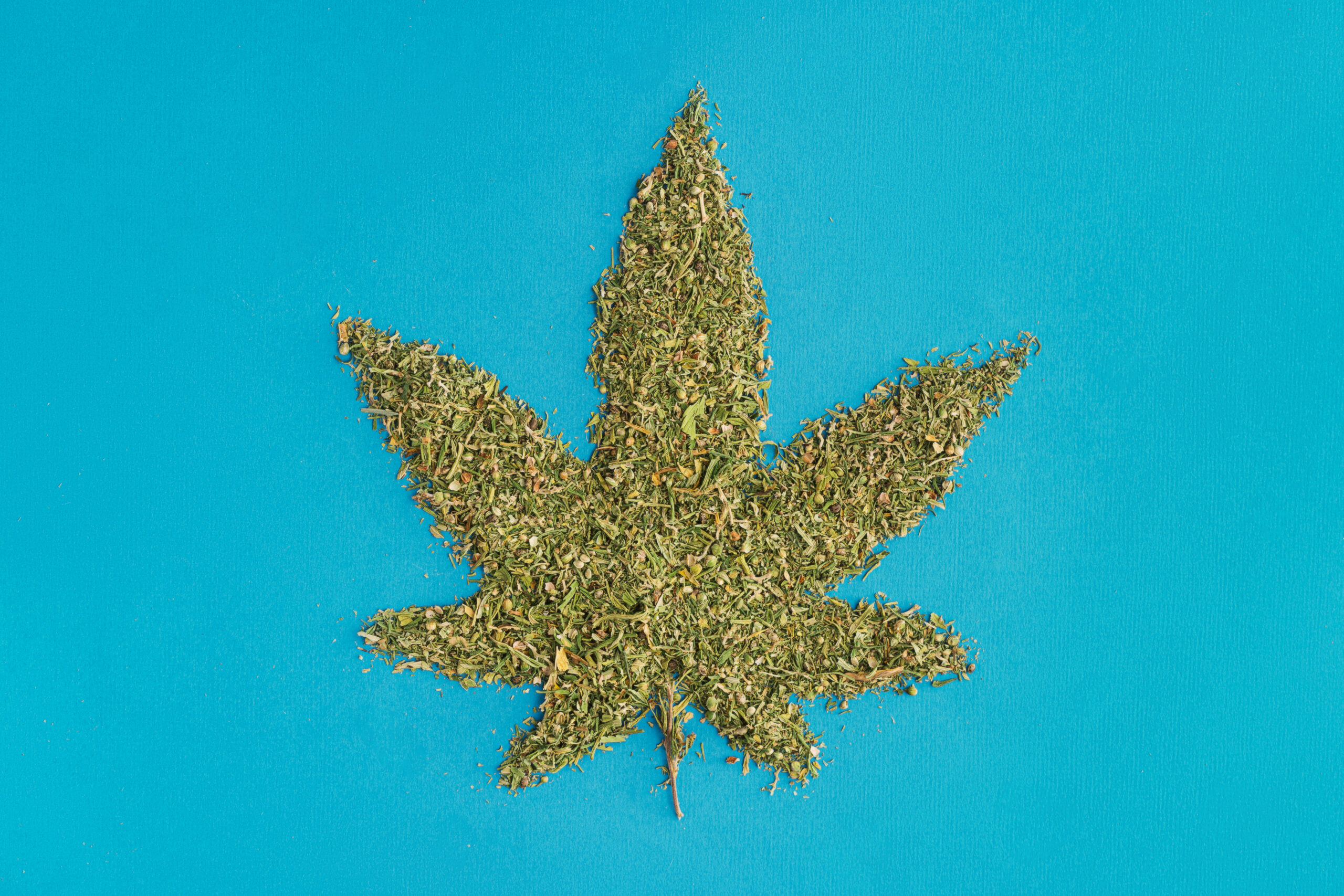 ground cannabis shaped into a marijuana leaf - cannabis induced psychosis