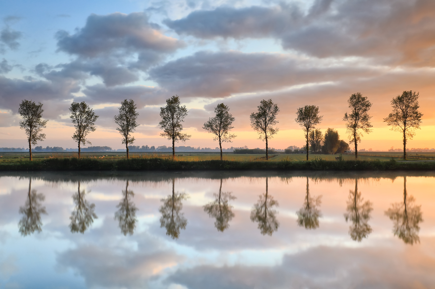 reflections of trees at sunset near a lake - mental health intervention specialist